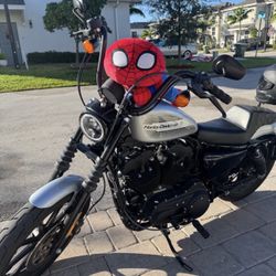 2020 Harley Davidson Sportster 1200