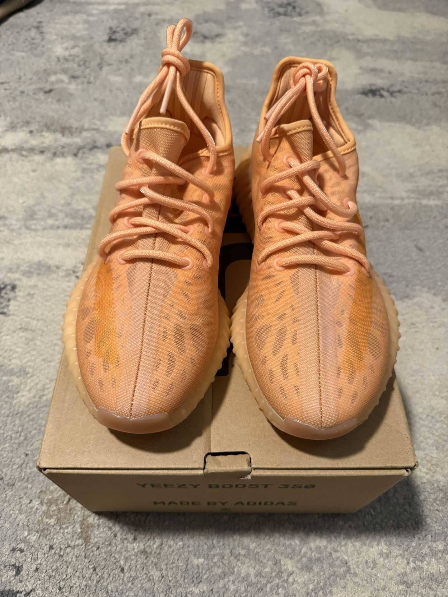 Yeezy Boost 350 V2 “Mono Clay” Size 7.5