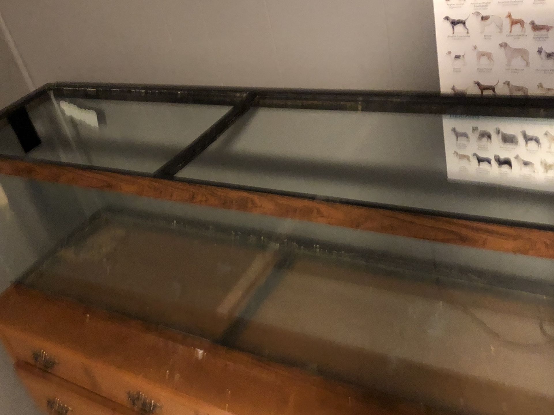 Large Glass Tank