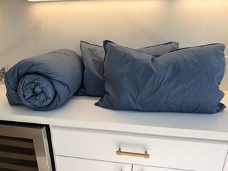 $80 Queen Comforter Set Down/Down Alternative with 2 Pillow Shams