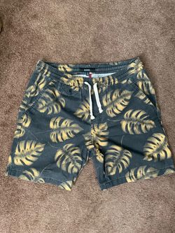 Men’s Swim Trunks - Banks Journal