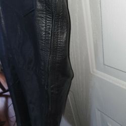 Hudson Leather Pants