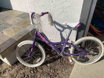 Giant girls bike