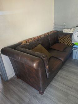 FREE SOFA
