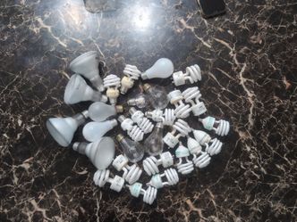 Bulb FREE FREE