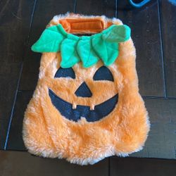 Small Pet Costume