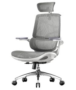 New assembled Ergonomic Office Chair, Desk Chair with 3D Flip-up Armrests, Computer Chair with Dual Back Design and Adaptive Dynamic Lumbar Support Gr