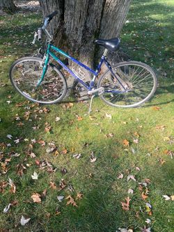 28” mongoose hybrid (large frame)