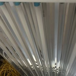 T5 Light