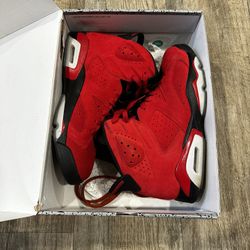 Toro Jordan 6