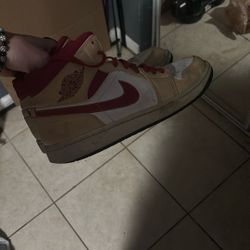 Jordan 1s 