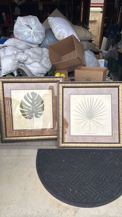 Botanical Leaf Framed Art Prints Set of 2