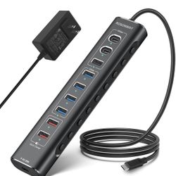 10 Port Hybrid USB Hub