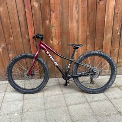 Trek Roscoe 24