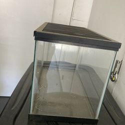 Small Terrarium