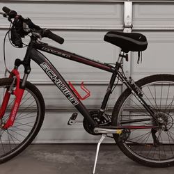 Men's Schwinn Mountain Bike 