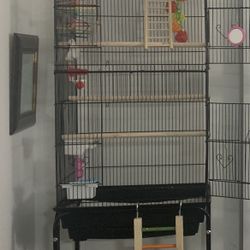 Birdcage 