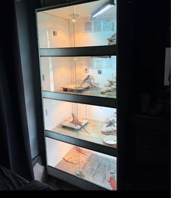 4-Tier Reptile Enclosure Stack Unit
