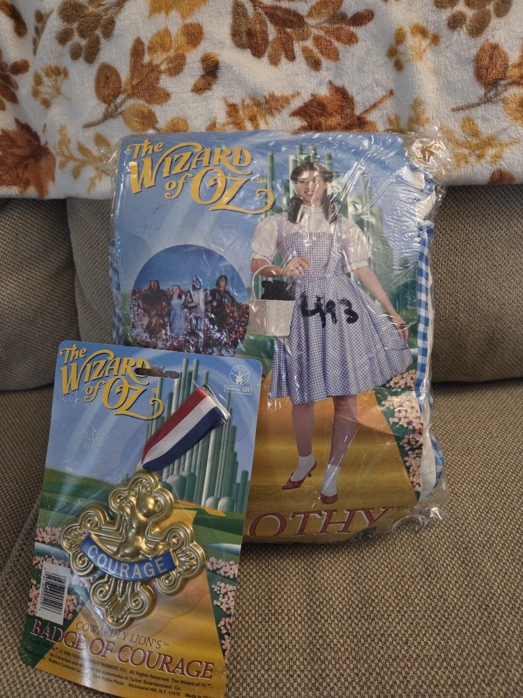Dorthy From WIZARD OF OZ Costume. Never Wore.