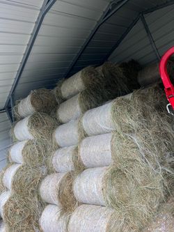 second cut 50lbs mini round bales of hay $8 just bailed yesterday