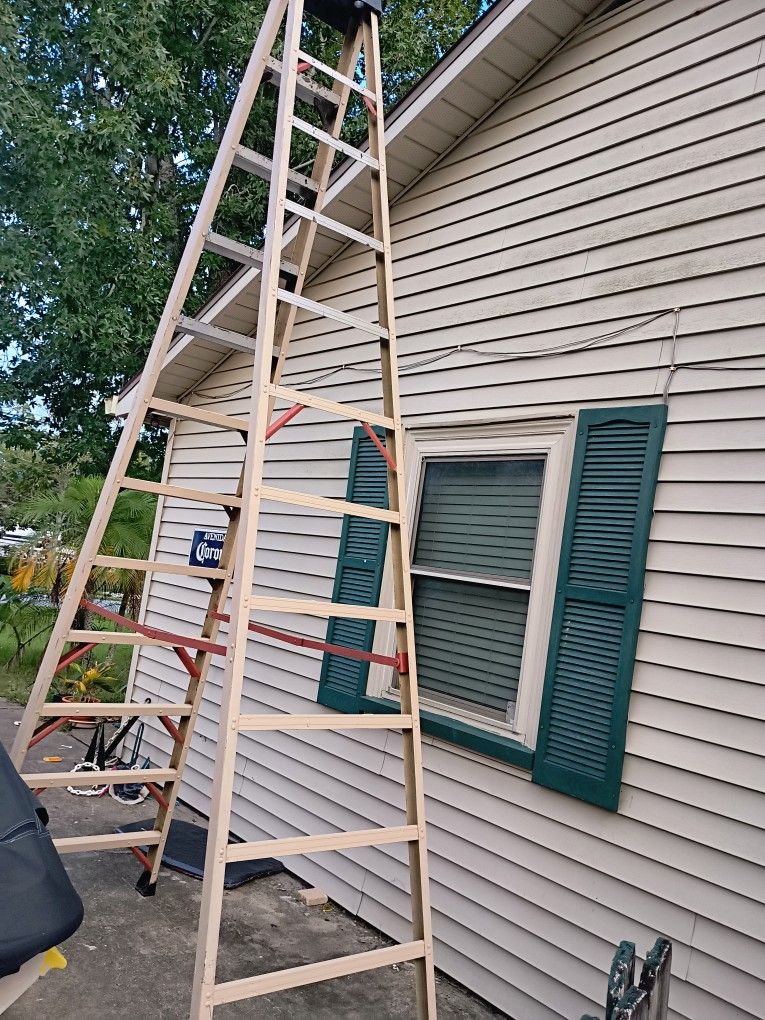 12 FT Ladder 