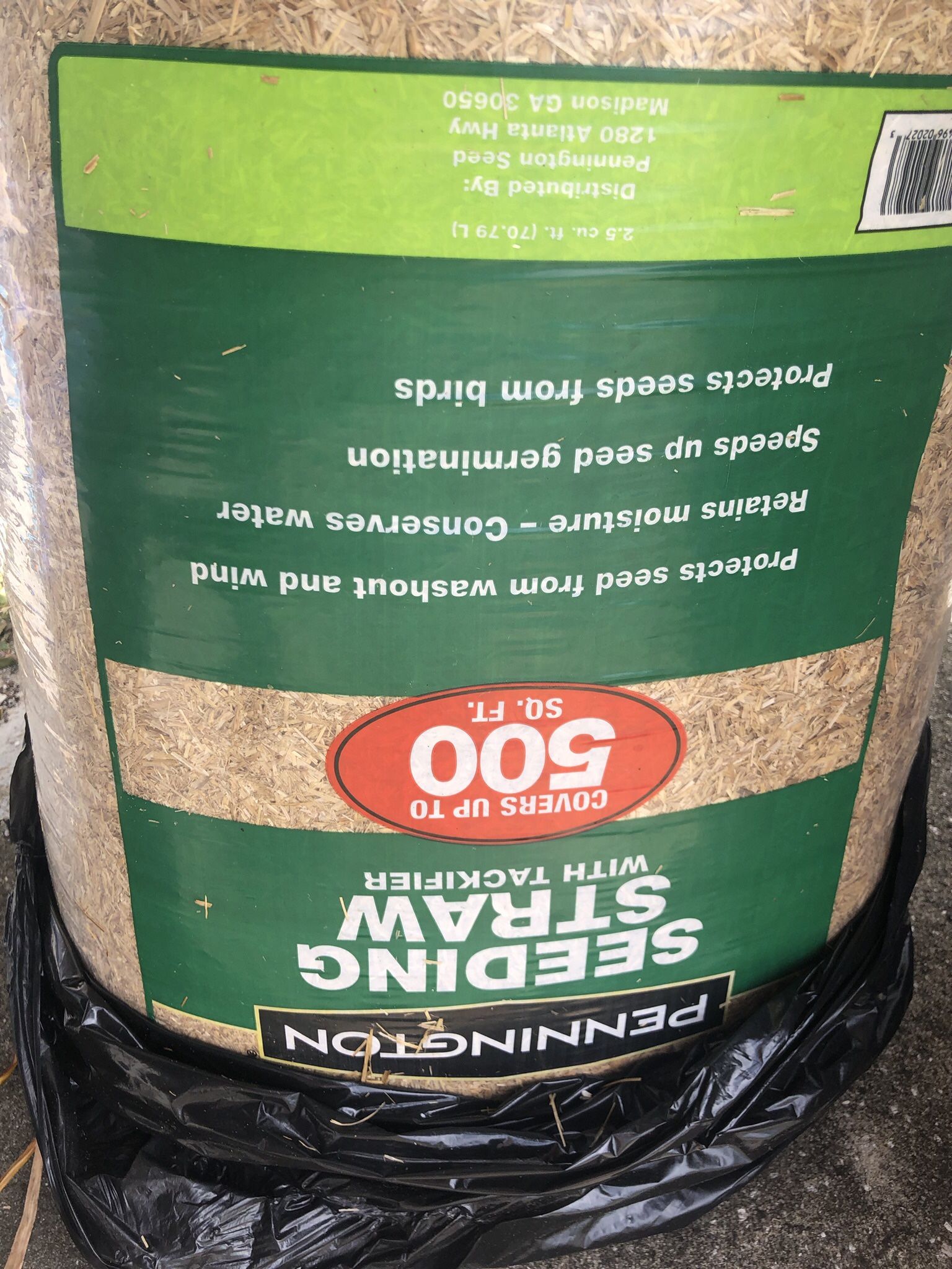 Pennington Straw