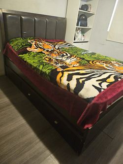 Queen Bed