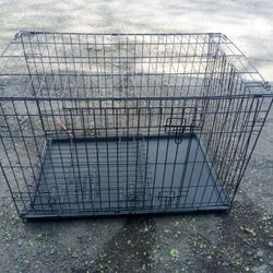 Cage 2 Door 
