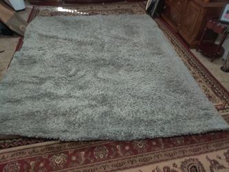 Nice And Clean Erea Rug