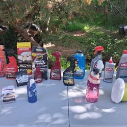 $120 for everything Auto Detailing Wax And Wash Glass Water Repellent Ryobi Buffer Polisher