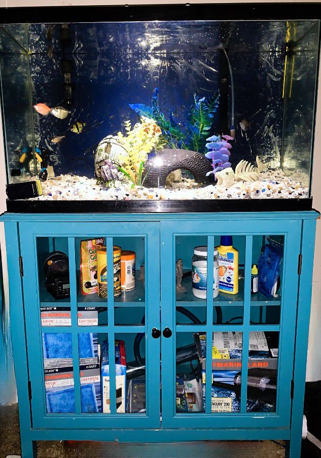 All You'll Need Right Here w/ this 40 Gallon TANK & Stand With everything 