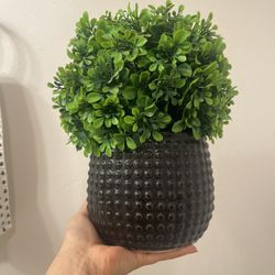 Faux Plant