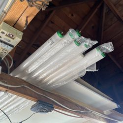  8’ Flourescent Bulbs