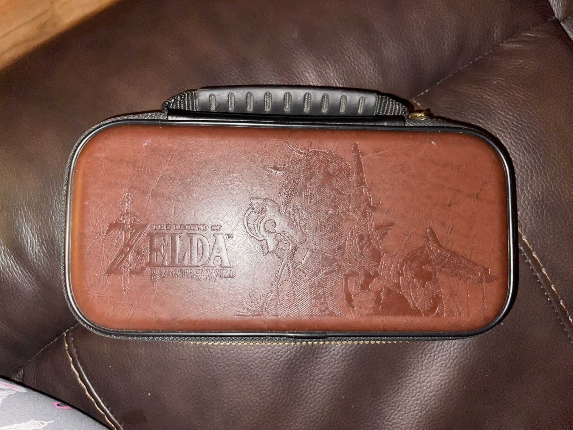 Zelda Switch Case