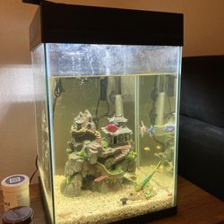 Tank With Fishes