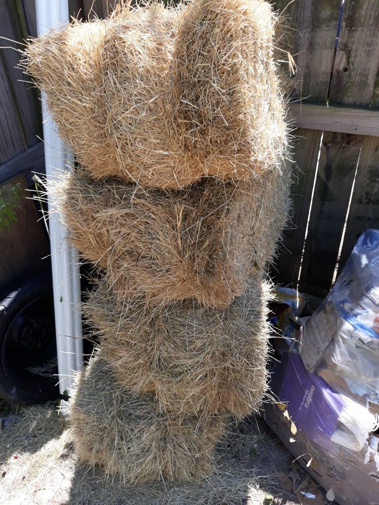 Pasto para bacas oh caballos 4 pacas