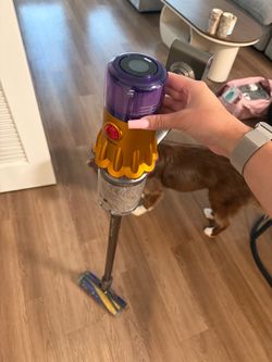 Dyson v12