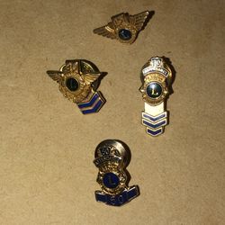 Lions Clubs International award pins,