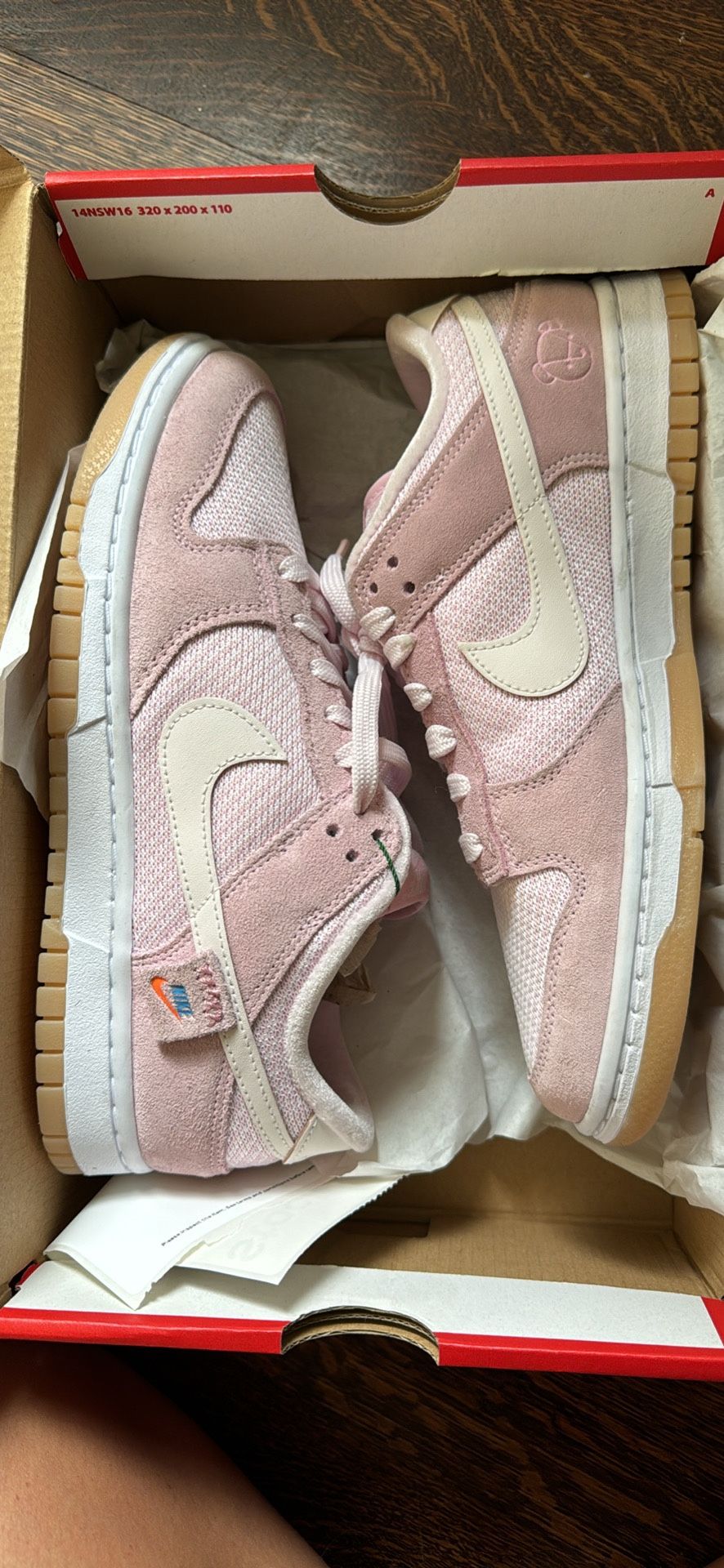 Nike dunk low teddy bear women’s 9