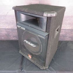 Peavey Passive 800 Watt Max Speaker