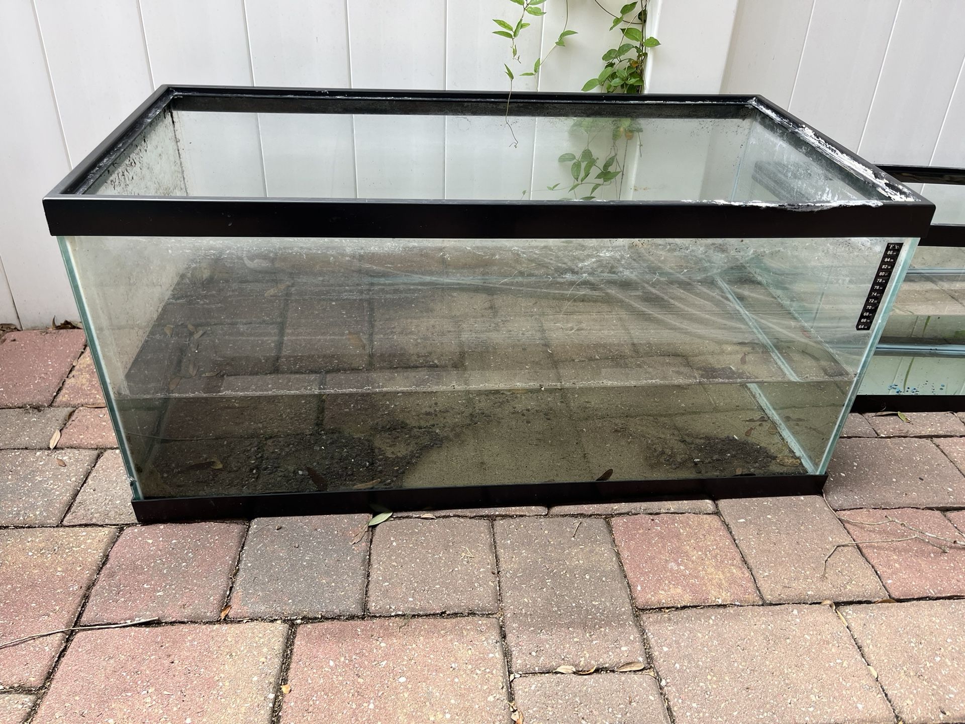 50 Gal Tank