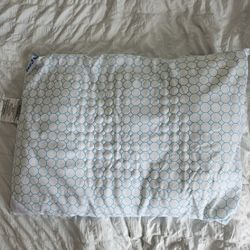 Pillow & Pillow Case