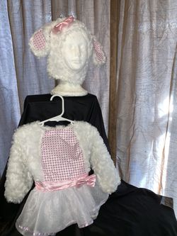 Halloween costume size 12m girl