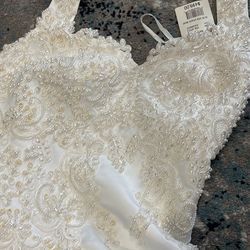 wedding dress with train and head piece 