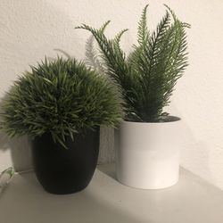 2 Fake Plants Small