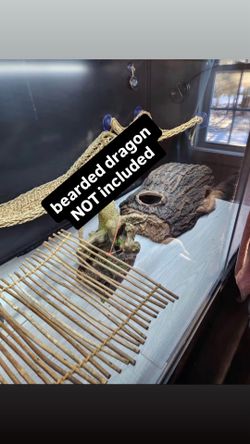 Bearded Dragon Enclosure Decor Bundle