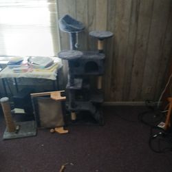Cat Tower