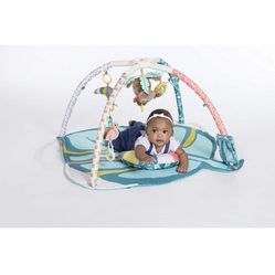 Tummy Time Baby Activity Gym & Play Mat