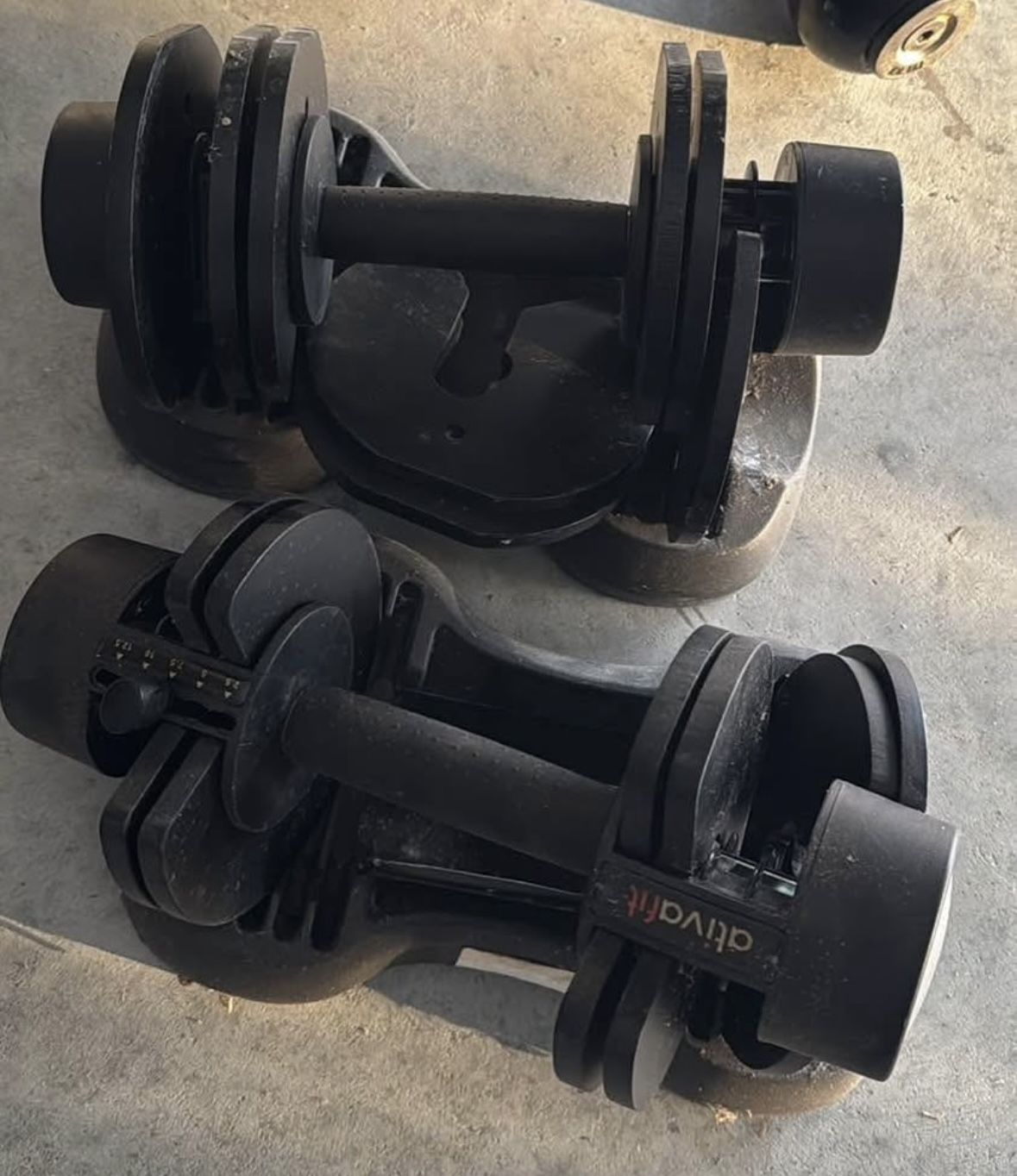 🏋️ Adjustable Dumbbells  – $75 (Wesley Chapel)