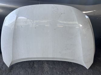 murano hood /fender 2019